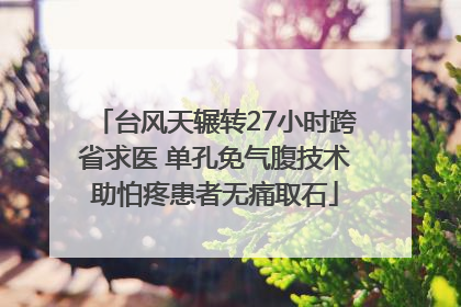 台风天辗转27小时跨省求医 单孔免气腹技术助怕疼患者无痛取石