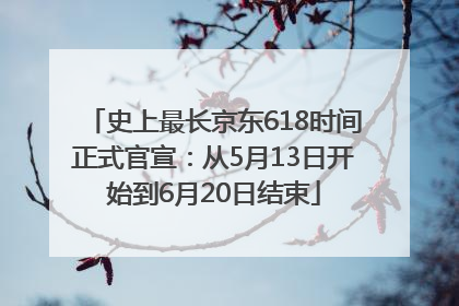 史上最长京东618时间正式官宣：从5月13日开始到6月20日结束