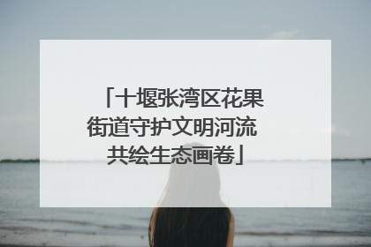十堰张湾区花果街道守护文明河流 共绘生态画卷