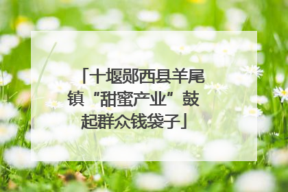 十堰郧西县羊尾镇“甜蜜产业”鼓起群众钱袋子