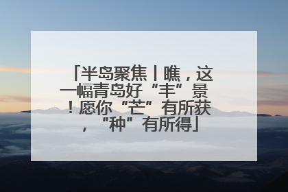 半岛聚焦丨瞧，这一幅青岛好“丰”景！愿你“芒”有所获，“种”有所得