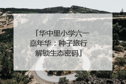 华中里小学六一嘉年华：种子旅行解锁生态密码