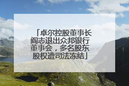 卓尔控股董事长阎志退出众邦银行董事会，多名股东股权遭司法冻结