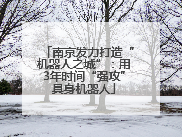 南京发力打造“机器人之城”：用3年时间“强攻”具身机器人