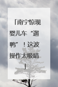 南宁惊现婴儿车“遛鸭”！这波操作太吸睛