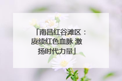 南昌红谷滩区：赓续红色血脉 激扬时代力量