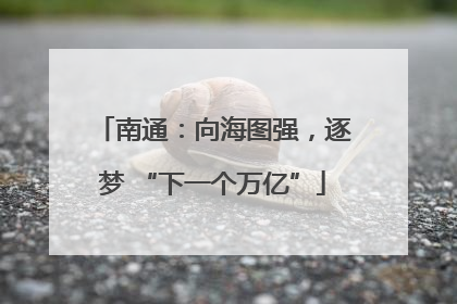 南通：向海图强，逐梦 “下一个万亿”