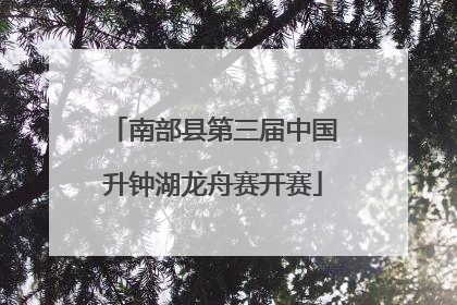 南部县第三届中国升钟湖龙舟赛开赛