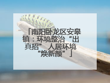南阳卧龙区安皋镇：环境整治“出真招” 人居环境“焕新颜”
