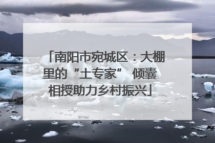 南阳市宛城区：大棚里的“土专家” 倾囊相授助力乡村振兴