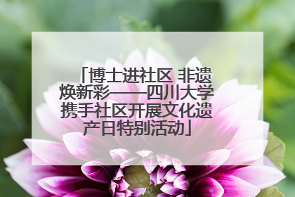 博士进社区 非遗焕新彩——四川大学携手社区开展文化遗产日特别活动