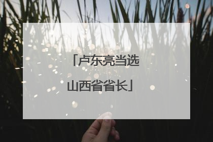 卢东亮当选山西省省长