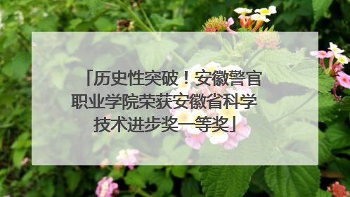 历史性突破！安徽警官职业学院荣获安徽省科学技术进步奖一等奖