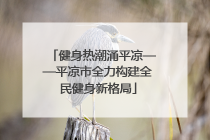 健身热潮涌平凉——平凉市全力构建全民健身新格局