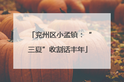 兖州区小孟镇：“三夏”收割话丰年