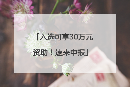 入选可享30万元资助！速来申报