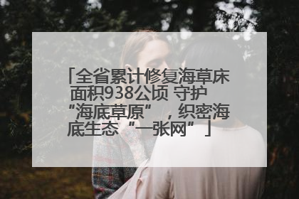 全省累计修复海草床面积938公顷 守护“海底草原”，织密海底生态“一张网”