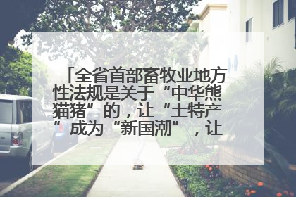 全省首部畜牧业地方性法规是关于“中华熊猫猪”的，让“土特产”成为“新国潮”，让“农产品”升格为“城市IP”