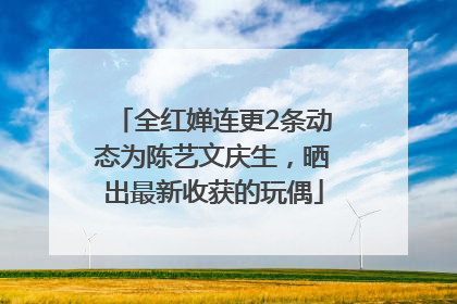 全红婵连更2条动态为陈艺文庆生，晒出最新收获的玩偶