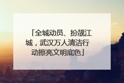 全城动员、扮靓江城，武汉万人清洁行动擦亮文明底色
