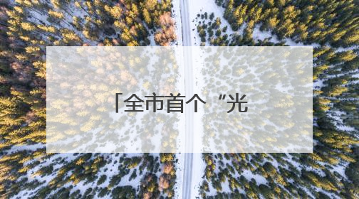 全市首个“光储充放检”示范站正式启用