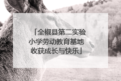 全椒县第二实验小学劳动教育基地收获成长与快乐