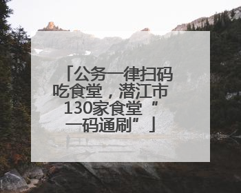 公务一律扫码吃食堂，潜江市130家食堂“一码通刷”