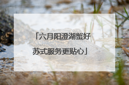 六月阳澄湖蟹好 苏式服务更贴心