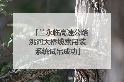 兰永临高速公路洮河大桥缆索吊装系统试吊成功