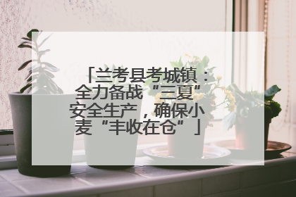 兰考县考城镇：全力备战“三夏”安全生产，确保小麦“丰收在仓”