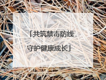 共筑禁毒防线 守护健康成长