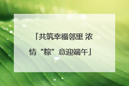 共筑幸福邻里 浓情“粽”意迎端午