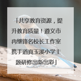 共享教育资源，提升教育质量！遵义市冉继锋名校长工作室携手道真玉溪小学主题研修出新出彩