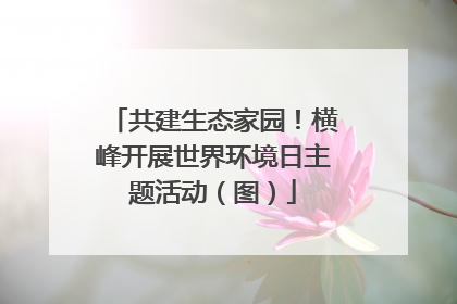 共建生态家园！横峰开展世界环境日主题活动（图）
