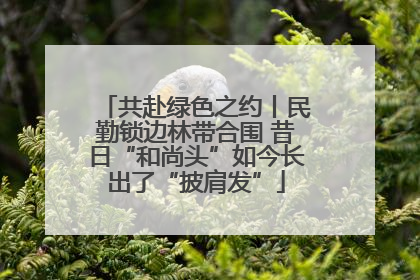 共赴绿色之约丨民勤锁边林带合围 昔日“和尚头”如今长出了“披肩发”