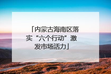 内蒙古海南区落实“六个行动”激发市场活力