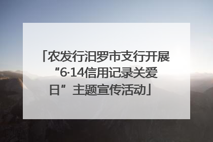 农发行汨罗市支行开展“6·14信用记录关爱日”主题宣传活动
