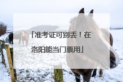 准考证可别丢！在洛阳能当门票用