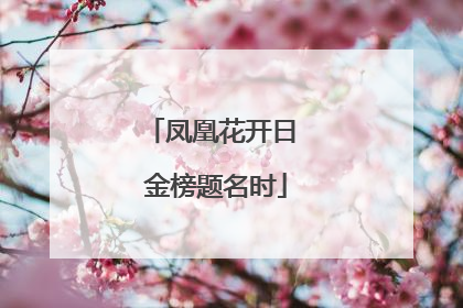凤凰花开日 金榜题名时