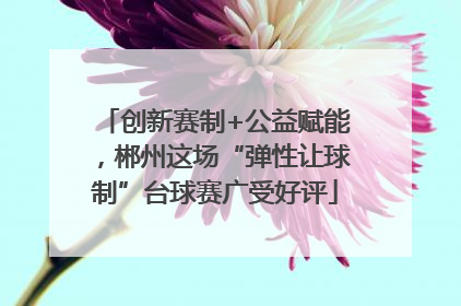 创新赛制+公益赋能，郴州这场“弹性让球制”台球赛广受好评