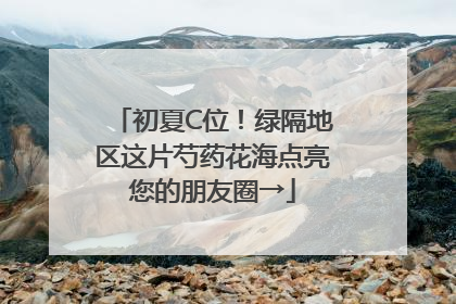 初夏C位！绿隔地区这片芍药花海点亮您的朋友圈→