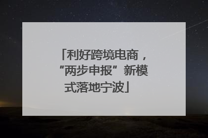 利好跨境电商，“两步申报”新模式落地宁波