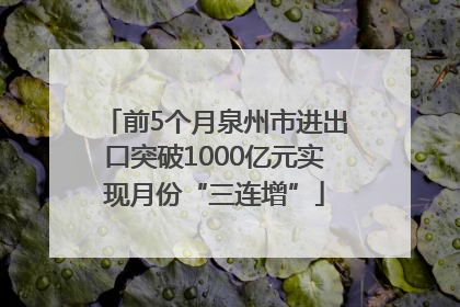 前5个月泉州市进出口突破1000亿元实现月份“三连增”
