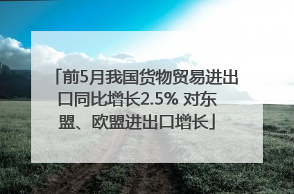 前5月我国货物贸易进出口同比增长2.5% 对东盟、欧盟进出口增长