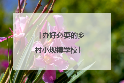 办好必要的乡村小规模学校