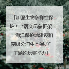 加强生物多样性保护！“落实昆蒙框架：海洋保护地建设和南极公海生态保护”主题论坛将举办