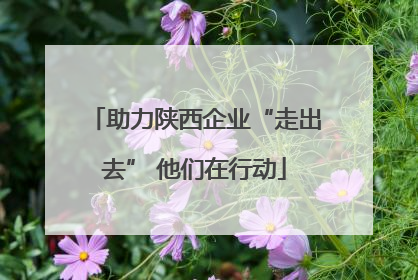 助力陕西企业“走出去” 他们在行动