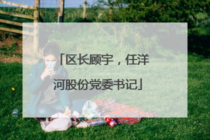 区长顾宇，任洋河股份党委书记