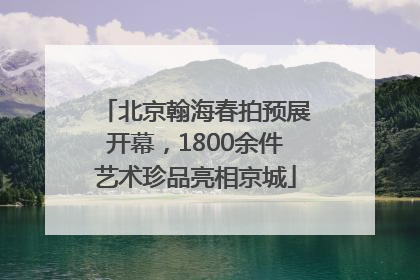 北京翰海春拍预展开幕，1800余件艺术珍品亮相京城
