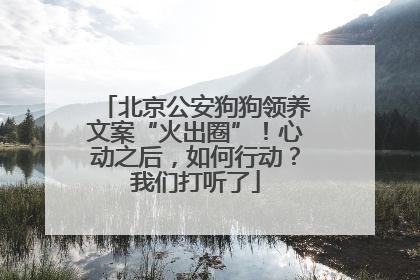 北京公安狗狗领养文案“火出圈”！心动之后，如何行动？我们打听了